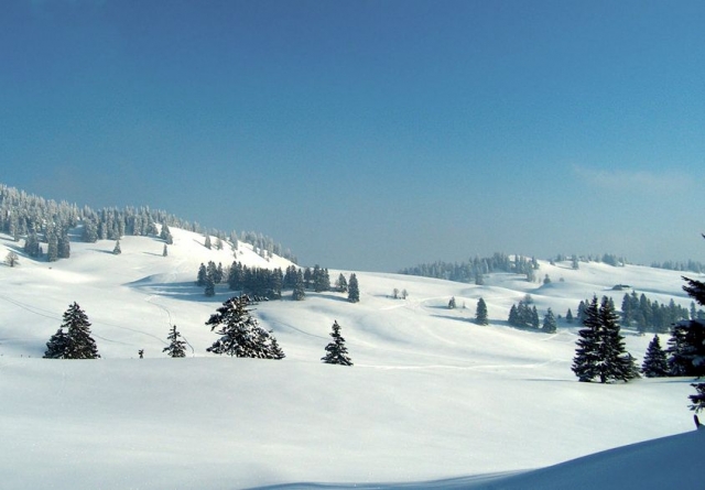  Spaziergänge in der Skischule